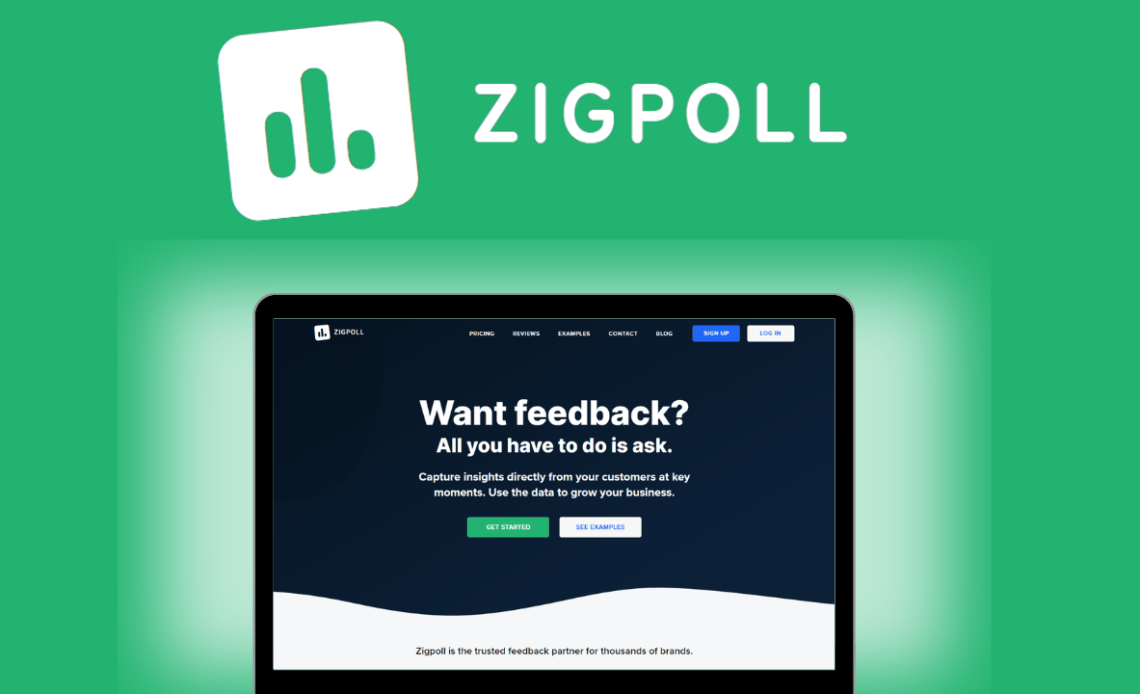 feedback platform