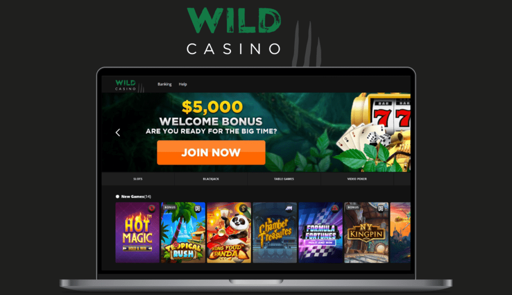 Wild Casino